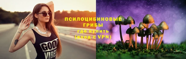 мет Алексин