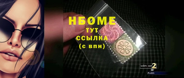 мет Алексин