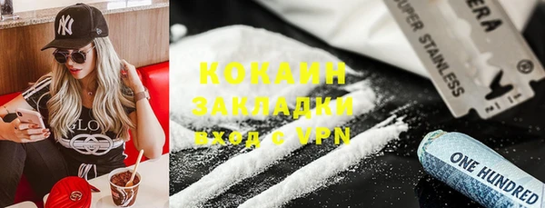 мет Алексин