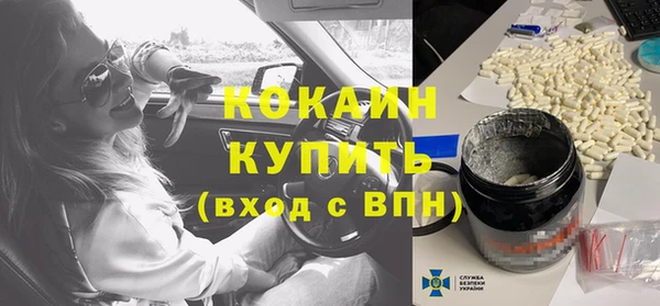мет Алексин