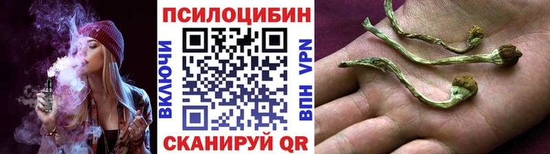 Псилоцибиновые грибы мухоморы  Чадан 
